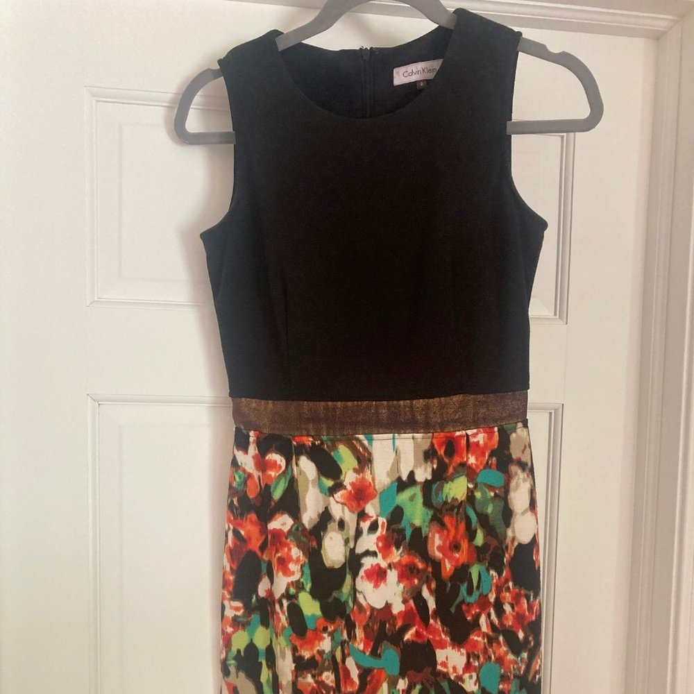 Calvin Klein Dress 2